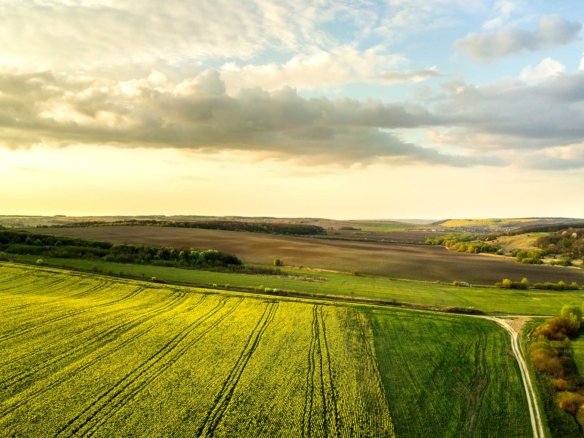 Equestrian Land