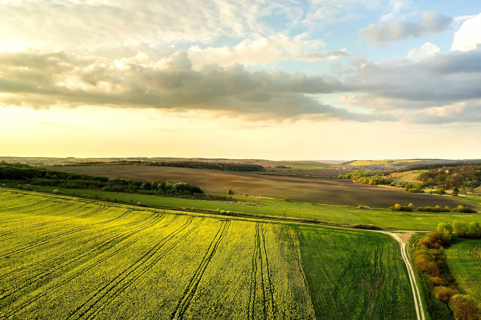 Equestrian Land
