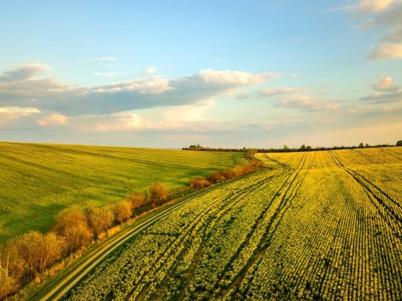 Agrarian Estate