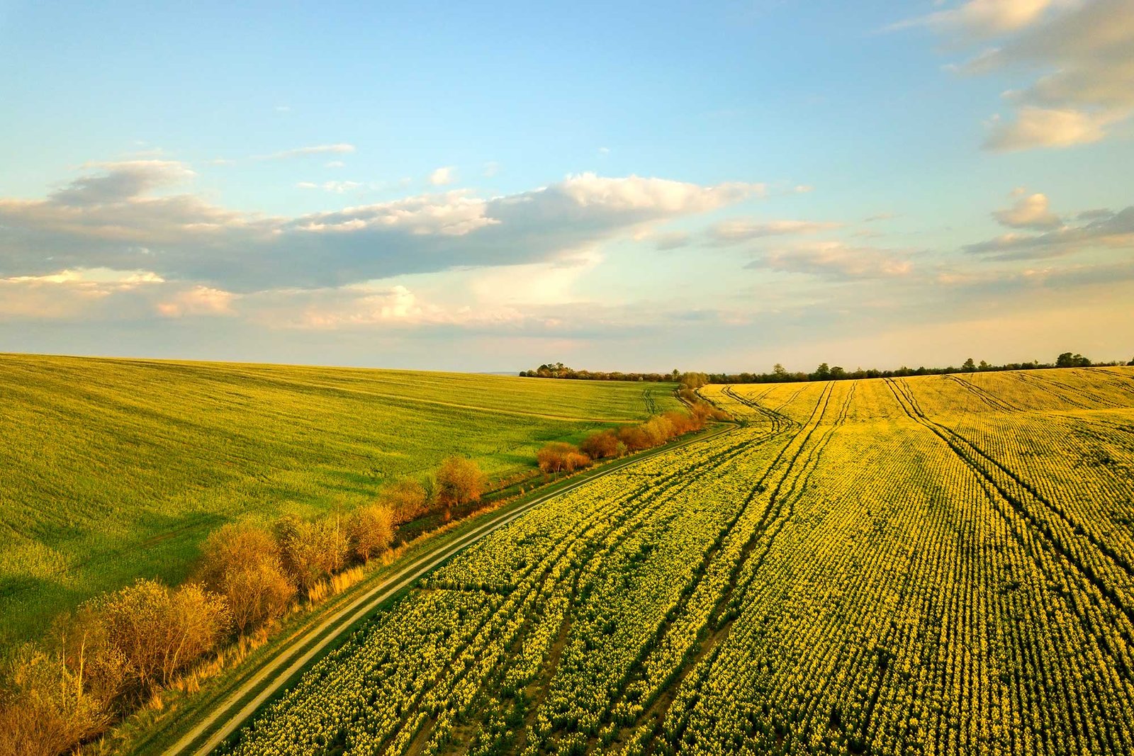Agrarian Estate