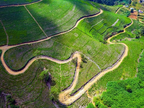 Land Parcel