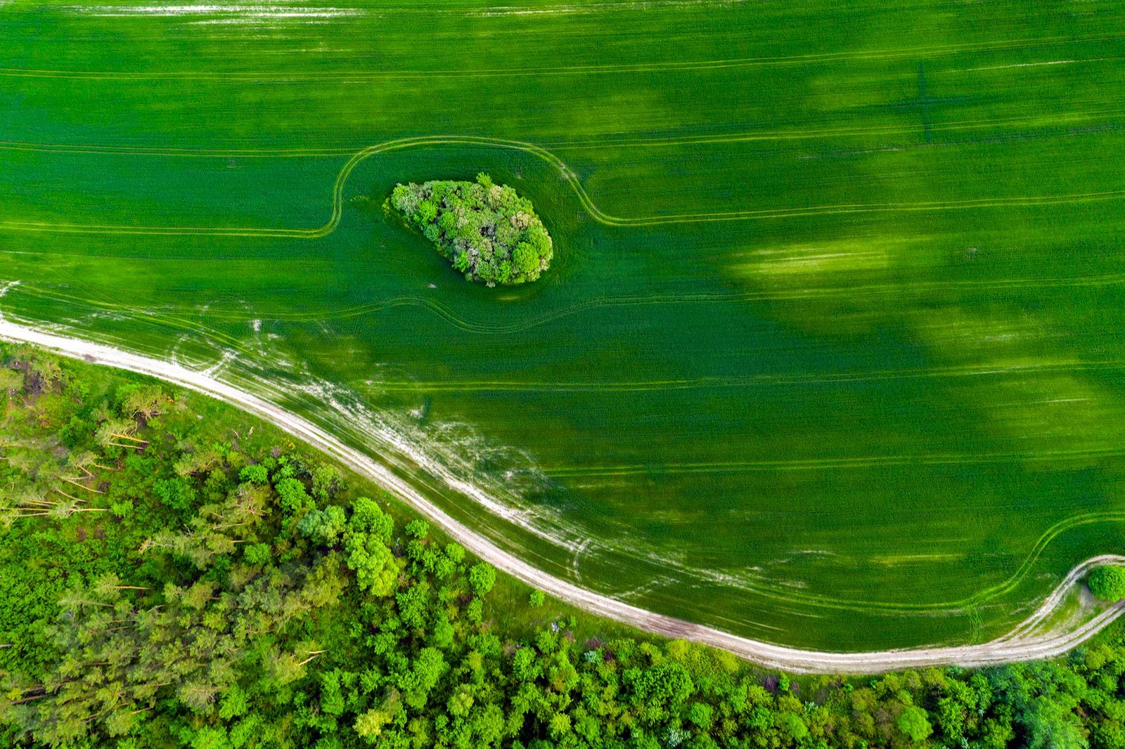 Farm For Sale