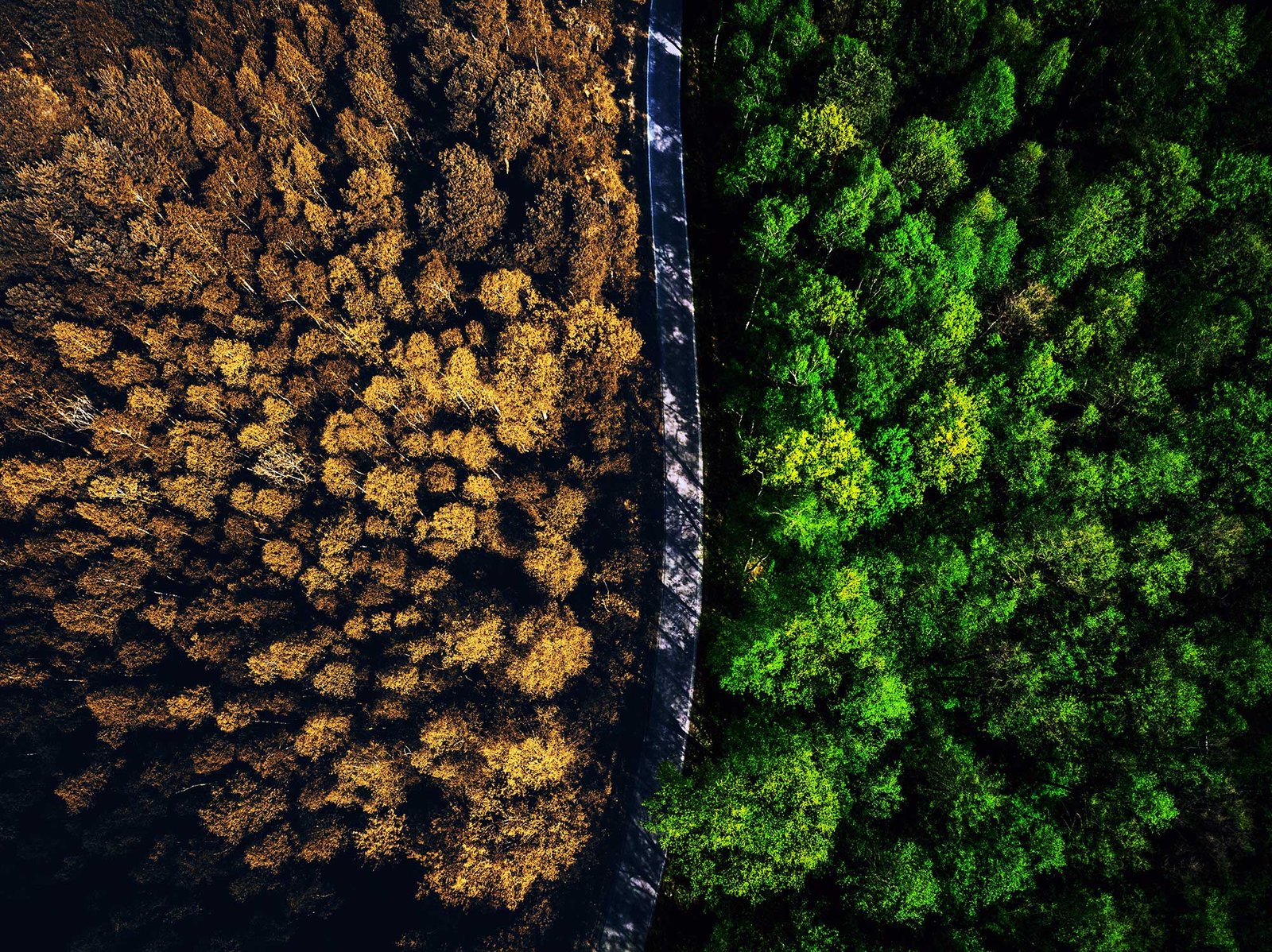 Rural Property