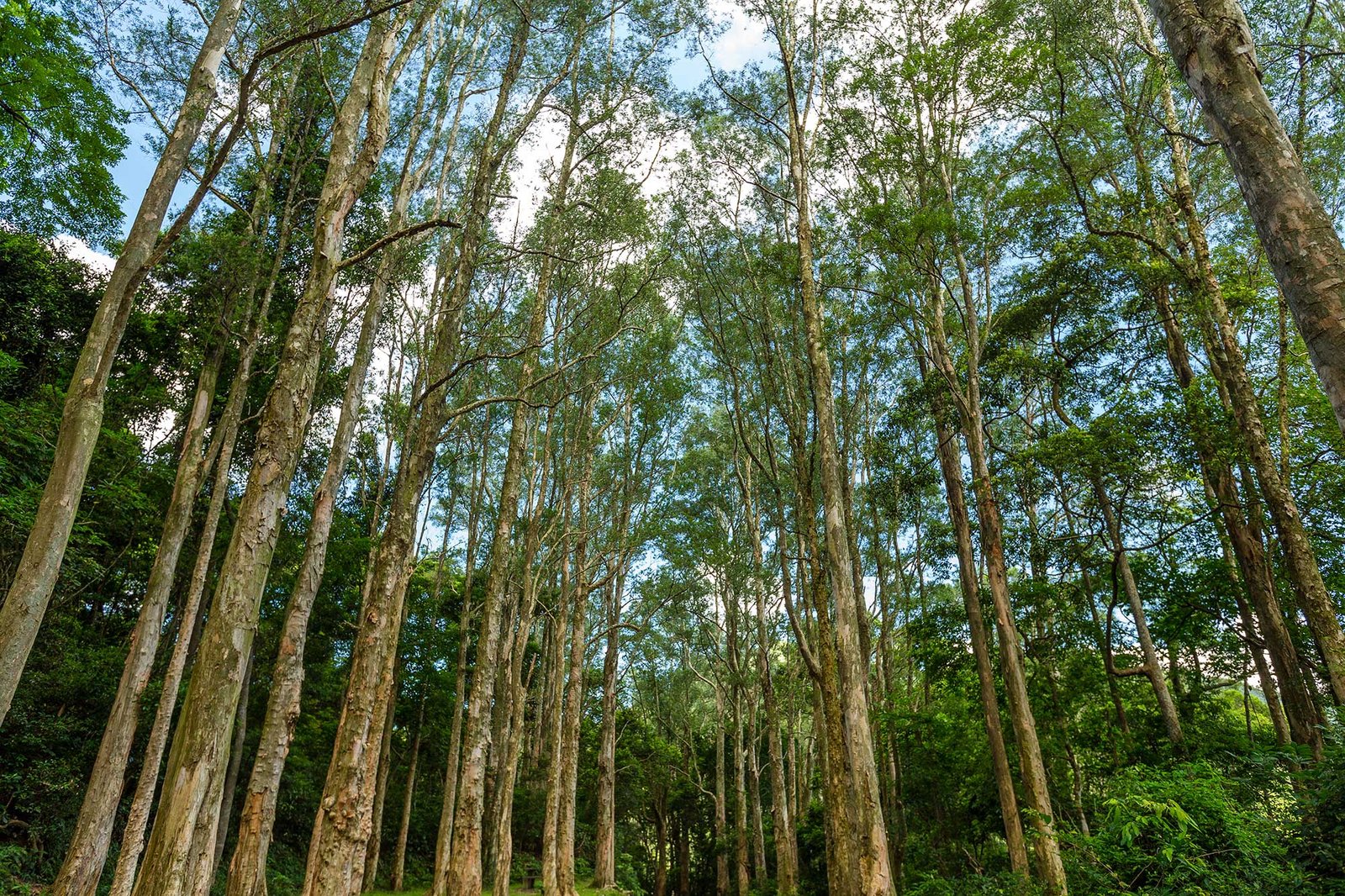 0059 Natural Lands